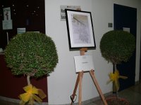 Centanni (5)