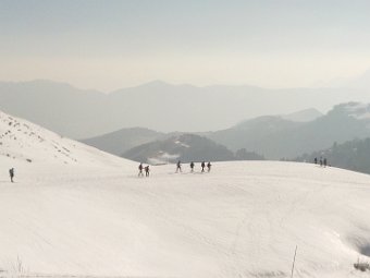 arta aggio (44)