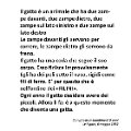 gatti (1).JPG