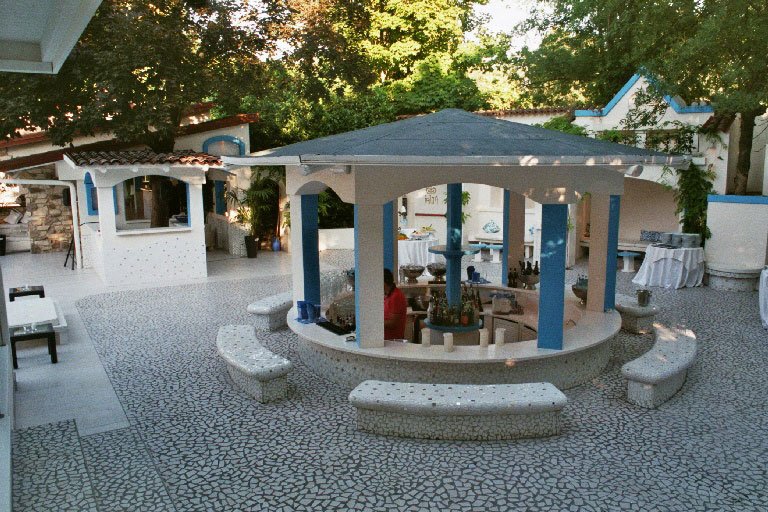 IMM017