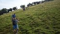 alpecolonno (16)