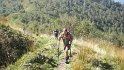 alpecolonno (2)