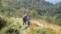 alpecolonno (4)
