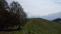 alpecolonno (9)