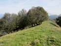 alpedicolonno (27)