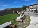 alpedicolonno (42)