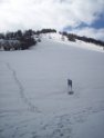 VENINI (3)