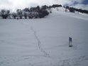 VENINI (4)