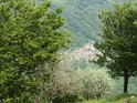 CADORNA (43)