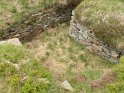 CADORNA (55)