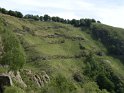 CADORNA (9)