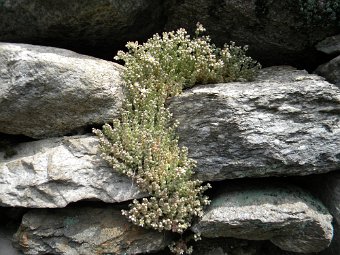 DSCN8566.JPG
