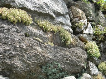 DSCN8571.JPG