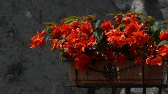 _DSC0013.jpg