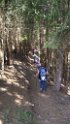 glenop (4)