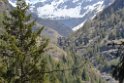 glenop (48)
