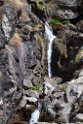 glenop (49)
