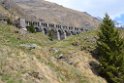glenop (57)