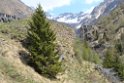 glenop (58)