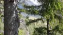 glenop (6)