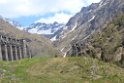 glenop (61)