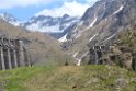 glenop (62)