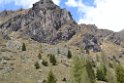 glenop (65)