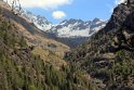 glenop (91)