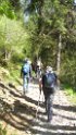 glenop (97)