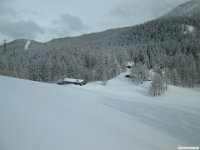 thuille (100)