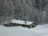 thuille (101)