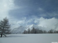 thuille (102)