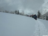 thuille (103)