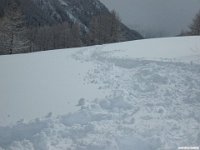 thuille (105)