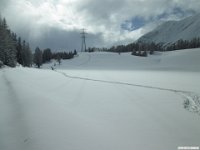 thuille (106)