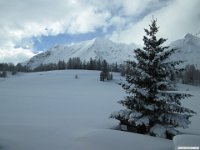 thuille (109)