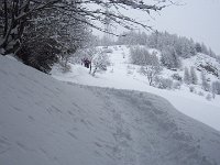 thuille (11)