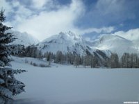 thuille (111)