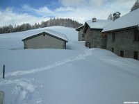 thuille (112)