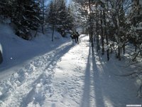 thuille (115)