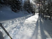 thuille (116)