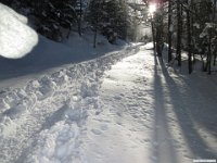 thuille (117)