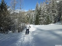 thuille (118)