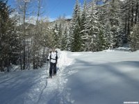 thuille (119)