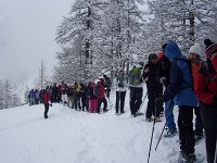 thuille (16)