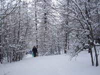 thuille (17)