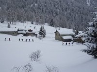 thuille (36)