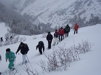 thuille (40)
