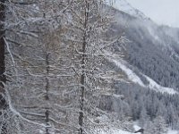 thuille (43)