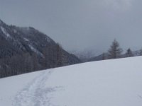 thuille (47)